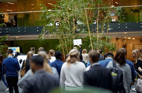 arla careers|arla stellenangebote.